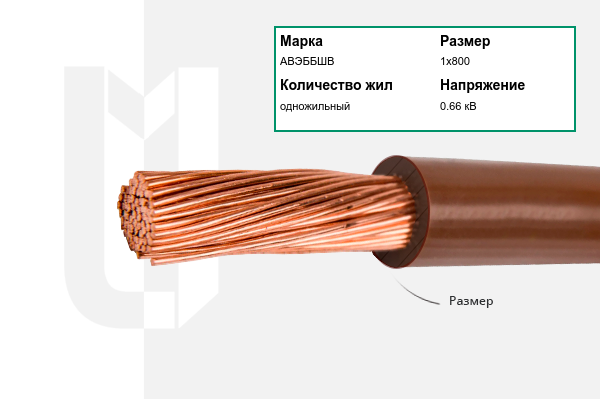 Силовой кабель АВЭББШВ 1х800 мм
